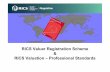 RICS Valuer Registration Scheme RICS Valuation ... Stockey - Valuers.pdf · Background to valuation standards Red Book aims: • To provide up to date professional Standards (constantly