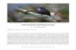 VIETNAM EXPEDITION 2017 - Birding Tours - Bird Watching ... -EXPEDITION- REP 17… · 1 BirdQuest Tour Report: Vietnam Expedition Pale-throated Wren-Babbler was a new bird for Birdquest