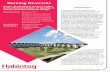 Barking Riverside - Lifetime Homes Standards€¦ · released a study detailing a ... into Barking Riverside is the implementation of living ... of Barking Riverside is that everyone