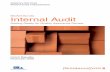 Internal Audit - PwC: Audit and assurance, consulting … Audit Advisory Services Performance Improvement Czech Republic November 2006 Market Survey Getting Ready for Quality Assurance