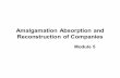 Amalgamation Absorption and Reconstruction of Companieslibvolume1.xyz/accounting/bcom/3rdyear/corporateaccounting/... · issued and the payment made in the form of ... Preference