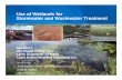 Use of Wetlands for Stormwater and Wastewater …floridaenet.com/.../2015-Wetland-Short-Course.-Use-of-Wetlands-for...Use of Wetlands for Stormwater and Wastewater Treatment ... Roof