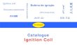 Catalogue Ignition Coilnormingda.com/coil.pdf · Catalogue Ignition Coil Bobina de ignição لﺎﻌﺘﺷا ﻞﻳﻮﮐ Ignition coil 点火线圈 لﺎﻌﺷﻹا ﻒﻠﻣ 점화코일