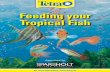Feeding your Tropical Fish - Amazon Web Services · There is a wide range of fish available for tropical aquariums, many of which have different feeding needs. Generally fish tend