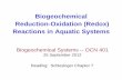 Biogeochemical Reduction-Oxidation (Redox) Reactions … · Biogeochemical Reduction-Oxidation (Redox) Reactions in Aquatic Systems ... oxidation-reduction reaction at equilibrium