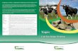 Teagasc · Teagasc Cash Flow Budget Worksheet ‘Helping you to manage your cash ˜ ow’ Managing your Cash Flow – a helpful guide to completing your Cash Flow Budget for …