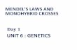 MENDEL’S LAWS AND Day 1 MONOHYBRID CROSSES€¦ · Day 4: Mendel’s Laws Lab day! Day 5: Biotechnology Day 6: DNA structure ... the role of probability in genetics. Students will