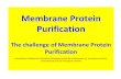 Membrane Protein Purification - Wolfson Centre Home Pagewolfson.huji.ac.il/purification/Course92632_2014/Talks 2015/1M... · Membrane Protein Purification ... eukaryotic membrane
