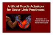 Artificial Muscle Actuators for Upper Limb Prosthesesibruce/courses/EE3BA3_2004/EE3BA3... · Artificial Muscle Actuators for Upper Limb Prostheses. ... Engineering solution must maintain
