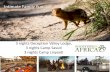 Intimate Family Fun - Footsteps in Africa · 3 nights Deception Valley Lodge, 3 nights Camp Savuti 3 nights Camp Linyanti Intimate Family Fun