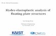Hydro-elastoplastic analysis of floating plate structurescmss.kaist.ac.kr/cmss/PhD_Defense/Ph.D_defence_JS.Yoon.pdf · bodies in frequency and time domain ... Rankine Panel Method