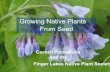 Growing Native Plants From Seed - Cornell Botanic Gardens · Growing Native Plants From Seed Finger Lakes Native Plant Society Cornell Plantations and the . What IS a native plant?