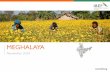 MEGHALAYA - Business Opportunities in India: Investment Ideas, Industry ... · • Profitability of the industry ... Investment climate of a state is determined by a mix of factors