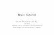 Brain Tutorial - Duke University Tutorial GA 2016 Lab 21.pdf · Brain Tutorial Gross Anatomy Lab #21 ... GA Brain Tutorial 2015 For the Brain lab and this tutorial your main goal