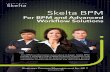 Skelta BPM - For BPM and Advanced Workflow Solutions · SAP LOB Adapter SOA (Skelta Object Access Layer) BAM & KPIs Skelta BPM Business Intelligence Collaboration Business Processes