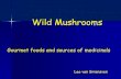Mushrooms for Health - NWFPs Mushrooms Leo van Griensven Gourmet foods and sources of medicinals
