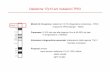 Delezione 17p13 e/o mutazioni TP53 - ER Congressi · Delezione 17p13 e/o mutazioni ... Jumping translocations (JT): meccanismo citogenetico che porta a ... rare alterazioni che coinvolgono