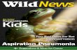 WildNews - Wildcare Australia · 1 WildNews ISSUE 69 - SUMMER 2013 Aspiration Pneumonia + Suggestions & Ideas for Carers New Section! Two Bad Days for Bat Conservation Compassionate