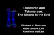 Telomeres and Telomerase: The Means to the End · Telomeres and Telomerase: The Means to the End ... •Yeast telomeric TG1 -3 repeat DNA was added directly to the ends of ... human