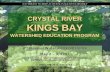 CRYSTAL RIVER KINGS BAY - University of Central Floridastormwater.ucf.edu/.../documents/CrystalRiver_PPT.pdf ·  · 2007-07-09CRYSTAL RIVER KINGS BAY WATERSHED EDUCATION PROGRAM