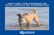 WHY THE TAIL-DOCKING OF DOGS SHOULD BE … ·  · 2014-12-04Why the tail-docking of dogs should be prohibited Contents 1. ... Pain can be classified as either ‘acute’ pain, ...