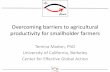 Identifying constraints to agricultural productivity for smallholder farmers€¦ ·  · 2017-07-19Overcoming barriers to agricultural productivity for smallholder farmers Temina