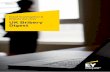 UK Bribery Digest - Ernst & Young · cases in the second half of 2016 and we also examine the ... persons associated with them from bribing ... UK Bribery Digest Fraud Investigation