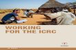 WORKING FOR THE ICRC to consider working for the ICRC. ... • Ward nurse • Hospital administrator • Primary health care professional