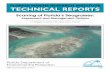 Assessment and Management Options - Microsoft · Assessment and Management Options ... Ranking of scarred-seagrass acreage by county ... Virginia Barker and George Garrett