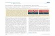 Ferroelectric Polarization in CH NH PbI Perovskitenesel.skku.edu/paper files/147.pdf ·  · 2016-03-14realize eﬀective manipulation of ferroelectric polarization rather than crystal