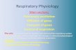 Respiratory Physiology - University of Baghdad semister2014... · Respiratory Physiology Main sections: Pulmonary ventilation Diffusion of gases ... body or at the nose and mouth,