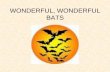 WONDERFUL, WONDERFUL BATS - txmn.orgtxmn.org/elcamino/files/2010/03/BATS-2013.pdf · AGENDA •Anatomy •Bat Facts •Video 1 •Mexican Free-tailed Bat --- BREAK --- •White-nose