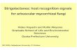 Strigolactones: host recognition signals for arbuscular ... PPT/Hideo... · Strigolactones: host recognition signals for arbuscular mycorrhizal fungi Hideo Hayashiand Kohki Akiyama