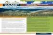 Agriculture, Food Security and Nutrition - NEPAD Food...Agriculture, Food Security and Nutrition 1 ... (involving elaborate technical implementation guidelines; ... signed its Regional