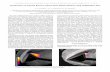 of Capsule Reentry Vehicle Heat Shield Ablation using PLIFltces.dem.ist.utl.pt/lxlaser/lxlaser2014/finalworks2014/abstracts/... · Visualization of Capsule Reentry Vehicle Heat Shield