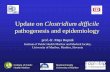 Update on Clostridium difficile - Glasgow, Scotland, UK · Update on Clostridium difficile pathogenesis and epidemiology prof. dr. Maja Rupnik ... binary toxin CDT - two nonlinked