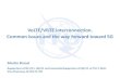 VoLTE/ViLTE interconnection. Common issues and the … · VoLTE/ViLTE interconnection. Common issues and the way forward toward 5G Martin Brand ... - S8HR VoLTE Roaming architecture