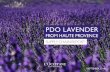 PDO LAVENDER - Group L'OCCITANE · SEPTEMBER 2014 PDO LAVENDER FROM hAuTE PROVENcE supply chain report