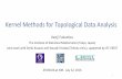 Kernel Methods for Topological Data Analysis - … · Kernel Methods for Topological Data Analysis Kenji Fukumizu The Institute of Statistical Mathematics (Tokyo, Japan) Joint work