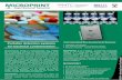Cell Imprinted Electrochemical Sensors Portable detection ... MICROPRINT... · Portable detection systems for bacterial contamination ... sources of microbial contamination must be