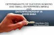 DETERMINANTS OF SUCCESS IN MICRO AND SMALL … · AND SMALL ENTERPRISEs (MSEs) AND ENTERPRUNERSHIP IN ... Degree on Investment No.17/1990 are the ... factors in terms of growth in