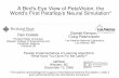 A Bird's-Eye View of PetaVision, the World's First ...dst/NIPS/nips08-workshop/Dan_Coates_slides.pdfA Bird's-Eye View of PetaVision, the World's First Petaflop/s Neural Simulation*