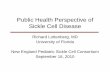 Public Health Perspective of Sickle Cell Disease - …nepscc.org/.../06/3-Publichealthperspectiveofsicklecelldisease.pdf · Public Health Perspective of Sickle Cell Disease ... •