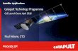 Catapult Technology Programme - Satellite Applications ... · Catapult Technology Programme CoE Launch Event, April 2016 Paul Febvre, CTO . Our Programmes Programmes ... •Stratellites