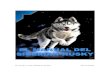 El Manual del Siberian Husky - ALASKAN MALAMUTE ...alaskanmalamuteventa.com/wp-content/uploads/2017/04/...EL MANUAL DEL SIBERIAN HUSKY PET FASHION En cuanto a la raza siberian husky
