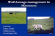Wolf damage management in Minnesotawebs.anokaramsey.edu/waite/environmental/Minnesota_Wolf_Damage... · MN Wolves “Relisted” June 2009 Wolves in MN returned to Endangered Species