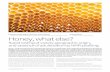 Honey, what else? - Bruker · Honey, what else? Rapid testing of variety, ... For Honey-ProfilingTM a remote data analysis concept was established located and main tained by Bruker