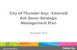 City of Thunder Bay: Emerald Ash Borer Strategic ...Ash+Borer+Strategic+Manage… · City of Thunder Bay: Emerald Ash Borer Strategic Management Plan November 2016