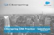 Ciberspring Salesforce Practice Deck · • APEX • Visualforce ... With the ability to better manage their sales and marketing efforts with SFDC ... Ciberspring Salesforce Practice