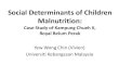 Case Study of Kampung Chueh II, Royal Belum Perakhoag.moh.gov.my/images/pdf_folder/simposium/satu.pdf · Case Study of Kampung Chueh II, Royal Belum Perak Yew Wong Chin ... •Tok
